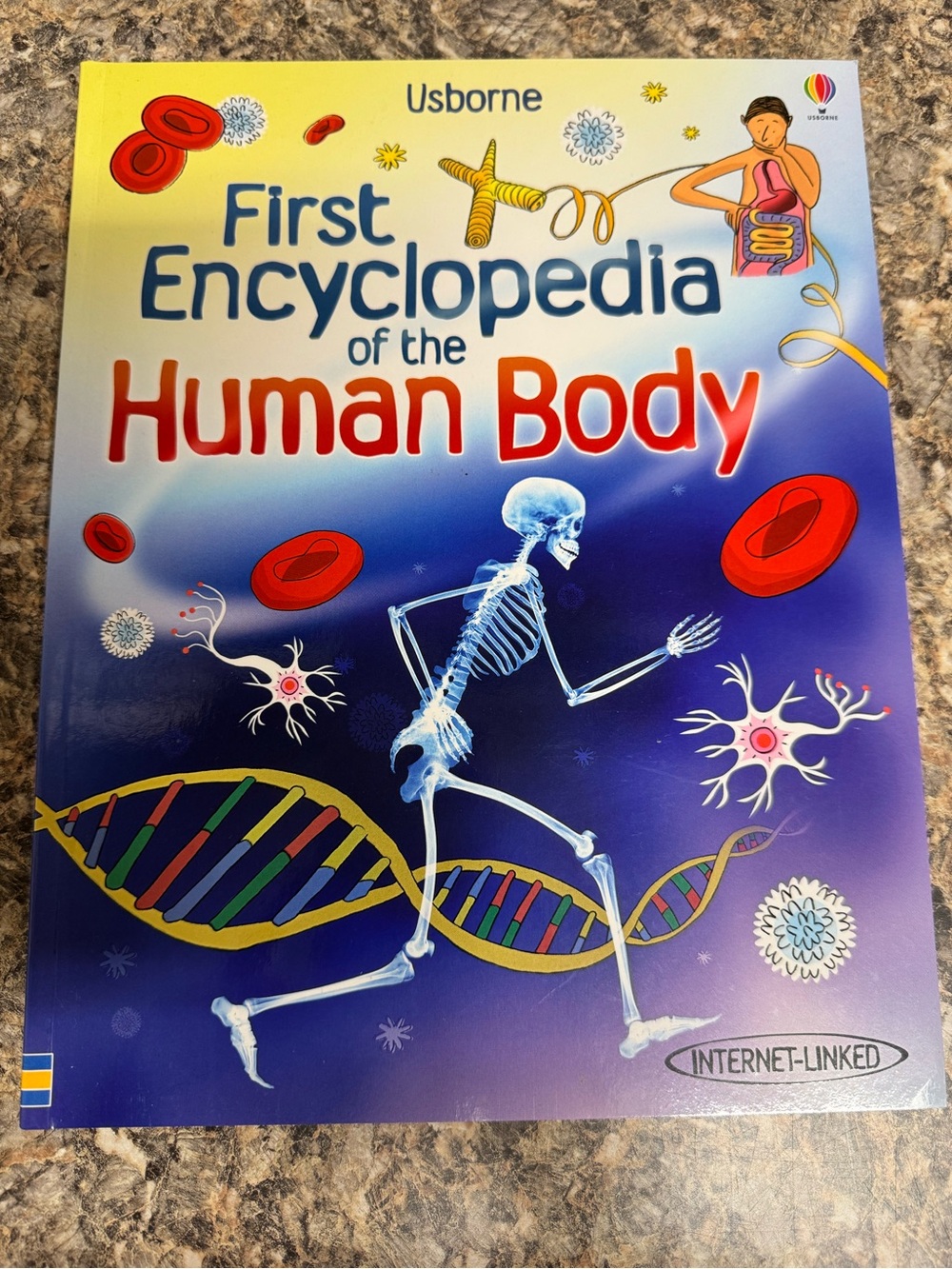 Usborne First Encyclopedia of the Human Body